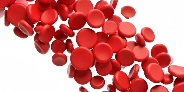 Improved Blood Circulation