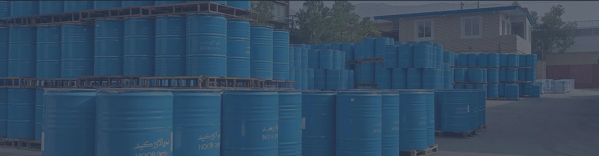 معلومات عنا  