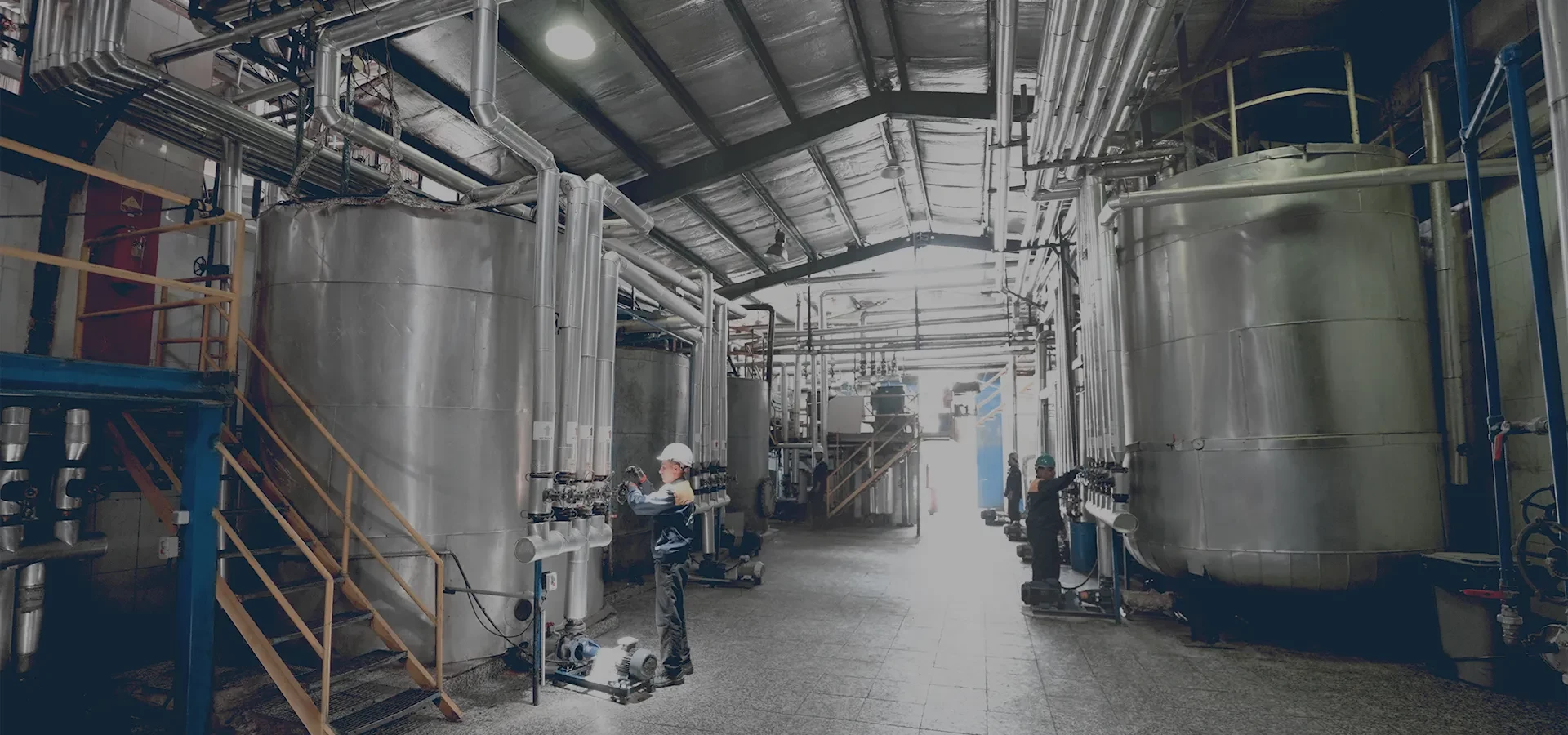 World's Largest Petroleum Jelly &